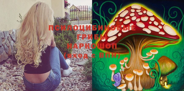 спиды Дмитров