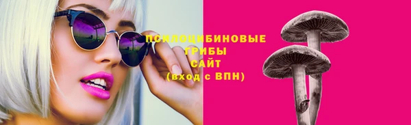спиды Дмитров
