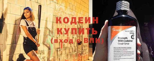 индика Дмитровск