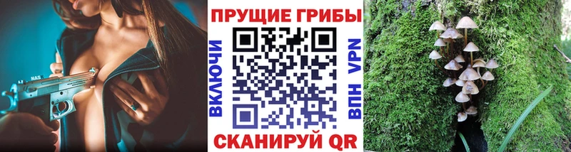 Псилоцибиновые грибы MAGIC MUSHROOMS  Купить  Рудня 